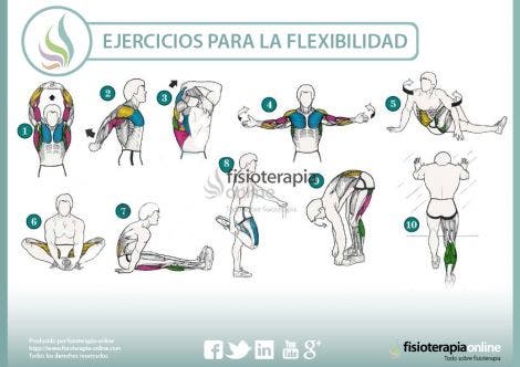 Ejercicios de flexibilidad